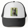 Australian Cattle Dog 9F061D-04_2 Mesh Hats