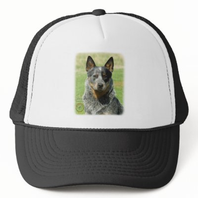Australian Cattle Dog 9F061D-04_2 Mesh Hats by TraffordPhotos