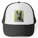 Australian Cattle Dog 9F061D-04_2 hats