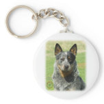 Australian Cattle Dog 9F061D-04_2 Keychain