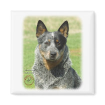 Australian Cattle Dog 9F061D-04_2 Fridge Magnets