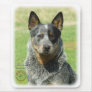 Australian Cattle Dog 9F061D-04_2 Mouse Pads