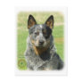 Australian Cattle Dog 9F061D-04_2 Post Card