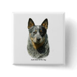 Australian Cattle Dog 9F061D-04 Pinback Buttons