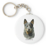Australian Cattle Dog 9F061D-04 Keychain