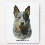 Australian Cattle Dog 9F061D-04 Mouse Mats
