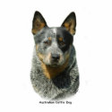 Australian Cattle Dog 9F061D-04 photo sculptures