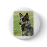 Australian Cattle Dog 9F061D-05_2 Buttons