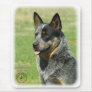 Australian Cattle Dog 9F061D-05_2 Mouse Pad
