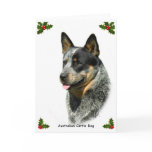 Australian Cattle Dog 9F061D-05 Card
