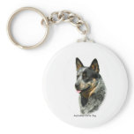 Australian Cattle Dog 9F061D-05 Key Chain