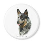 Australian Cattle Dog 9F061D-05 Refrigerator Magnet