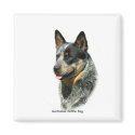 Australian Cattle Dog 9F061D-05 magnets