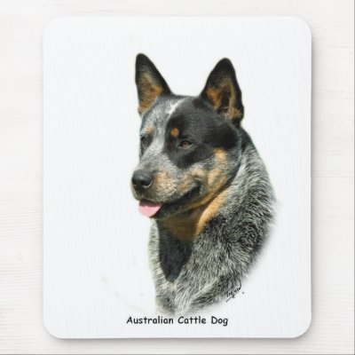 Australian Cattle Dog 9F061D-05 Mouse Mats by TraffordPhotos