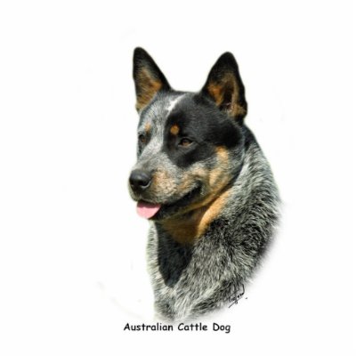 Australian Cattle Dog 9F061D-05 Photo Cutout by TraffordPhotos