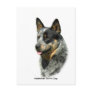 Australian Cattle Dog 9F061D-05 Postcard