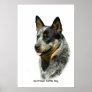 Australian Cattle Dog 9F061D-05 Print