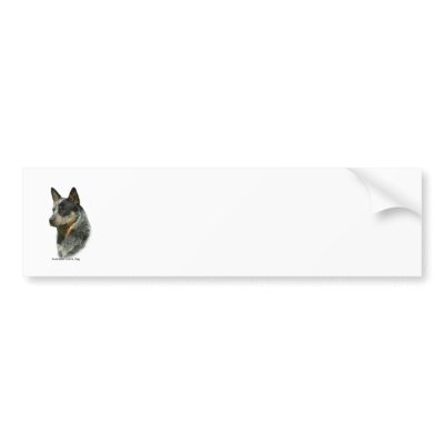 Australian Cattle Dog 9F061D-06 Bumper Sticker by TraffordPhotos