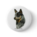 Australian Cattle Dog 9F061D-06 buttons