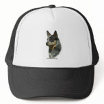 Australian Cattle Dog 9F061D-06 Trucker Hats