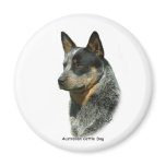 Australian Cattle Dog 9F061D-06 Fridge Magnets