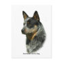 Australian Cattle Dog 9F061D-06 Postcards