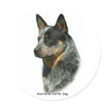 Australian Cattle Dog 9F061D-06 Round Stickers