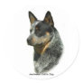 Australian Cattle Dog 9F061D-06 Round Stickers