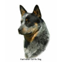 Australian Cattle Dog 9F061D-06 t-shirts