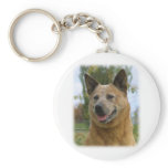 Australian Cattle Dog 9K009D-15 Key Chain