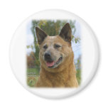 Australian Cattle Dog 9K009D-15 Refrigerator Magnet