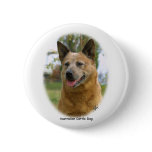 Australian Cattle Dog 9K009D-19 Pins