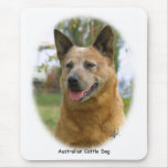 Australian Cattle Dog 9K009D-19 Mouse Pads