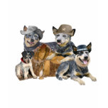 Australian Cattle Dog apparel t-shirts