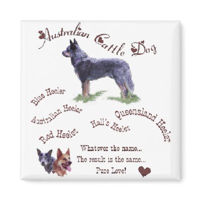 Australian Cattle Dog Art Gifts Fridge Magnet by DogsByDezign