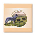 Australian Cattle Dog Art magnets