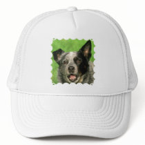 Australian Cattle Dog Baseball Cap Hat