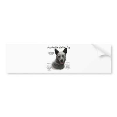 Australian Cattle Dog (blue) History Design by GreyWolfCreation
