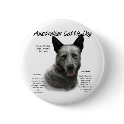 Australian Cattle Dog (blue) History Design by GreyWolfCreation