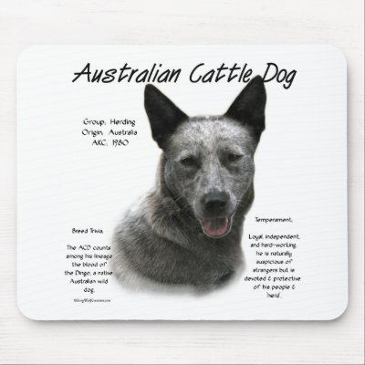 Australian Cattle Dog (blue) History Design by GreyWolfCreation