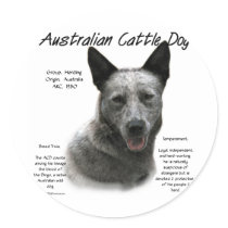 Australian Cattle Dog (blue) History Design