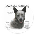 Australian Cattle Dog (blue) History Design stickers