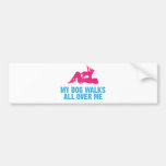 Australian Cattle Dog Bumper Stickers