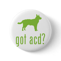 Australian Cattle Dog