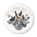 Australian Cattle Dog Can't Have Just One Fridge Magnets