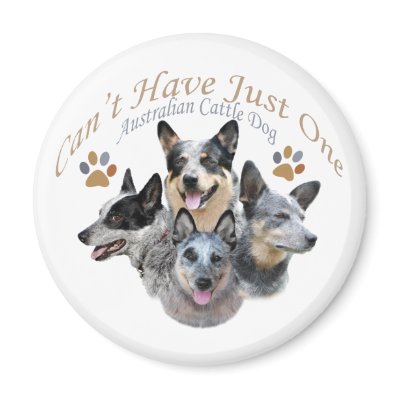 Australian Cattle Dog Can't Have Just One Fridge Magnets by friskybiz