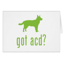 Australian Cattle Dog