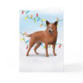 Australian Cattle Dog Christmas