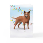Australian Cattle Dog Christmas cards