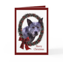 Australian Cattle Dog Christmas Gifts Card